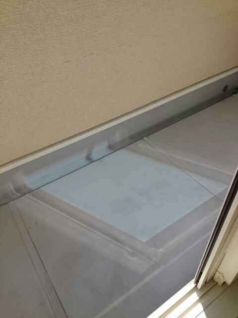 11/21 バルコニー