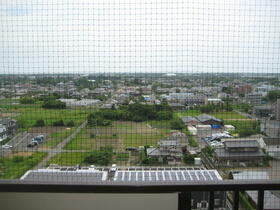 14/16 その他画像