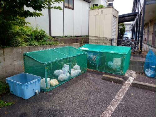 11/14 その他画像