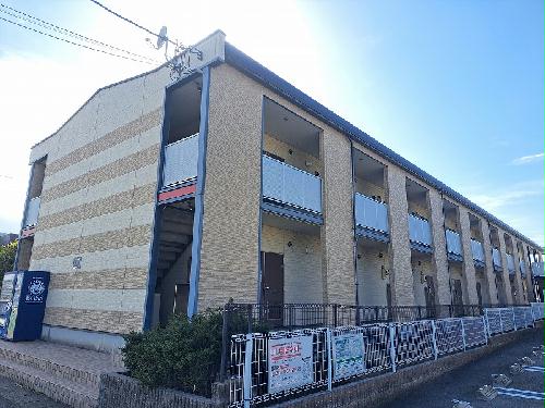 11/15 その他画像