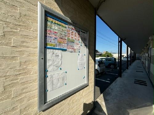 11/14 その他画像