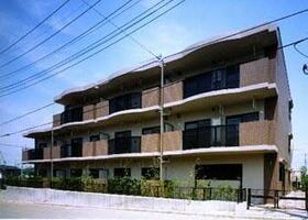 3/17 その他画像