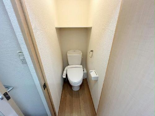 8/14 その他画像