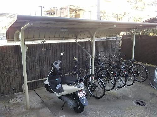 13/13 その他画像