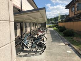 15/17 その他画像