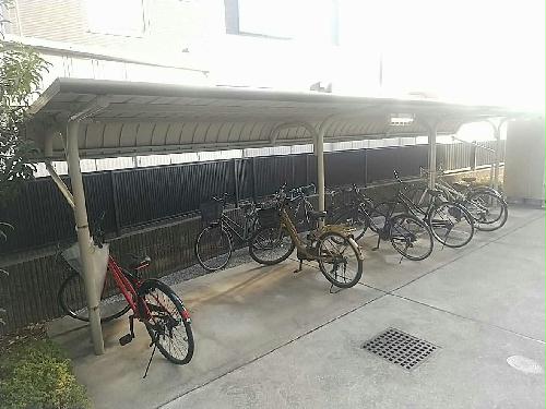 7/14 その他画像