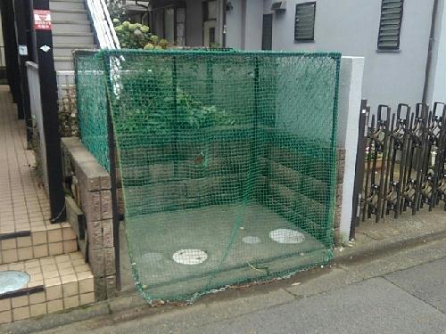 11/25 その他画像