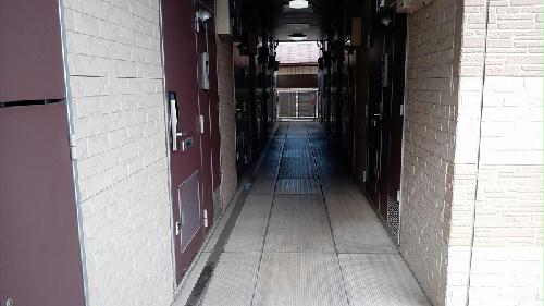 8/14 その他画像