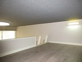 11/15 その他画像