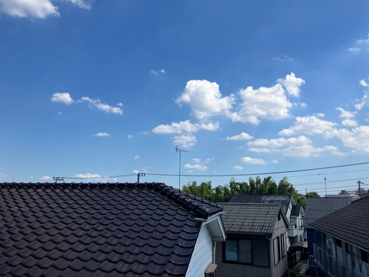 15/29 その他画像