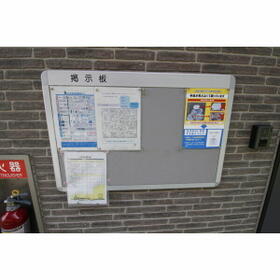 8/16 その他画像