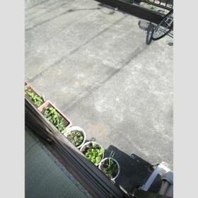 12/14 その他画像