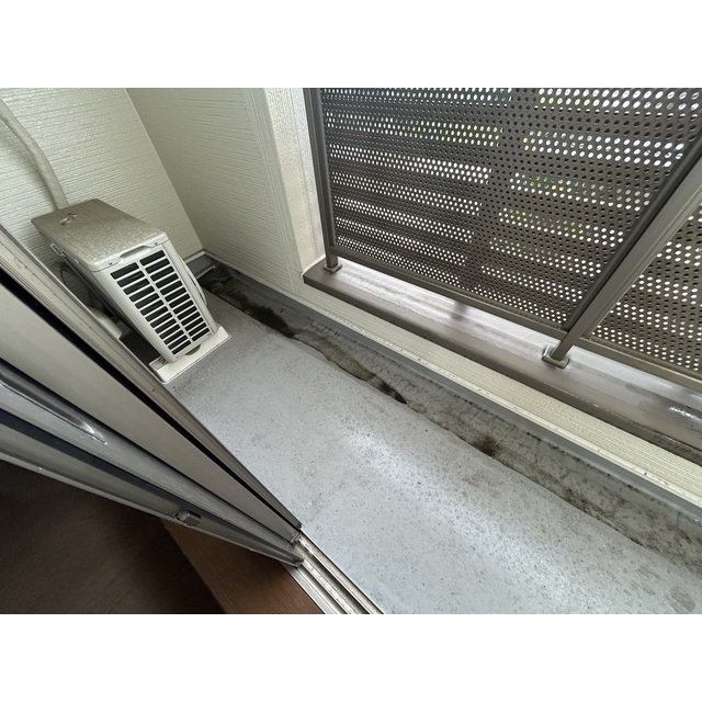 22/24 その他画像