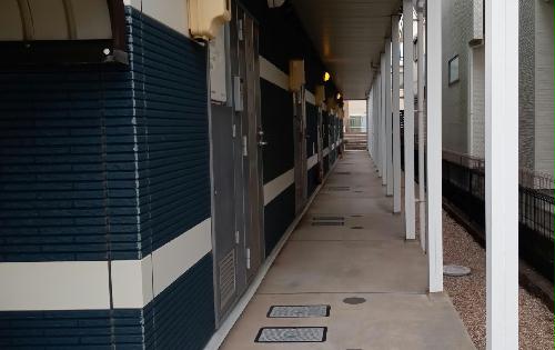 11/13 その他画像