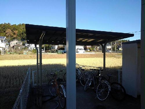 11/14 その他画像