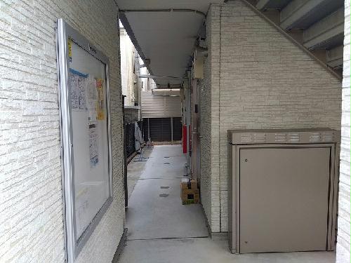 6/13 その他画像