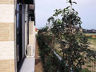 8/20 バルコニー