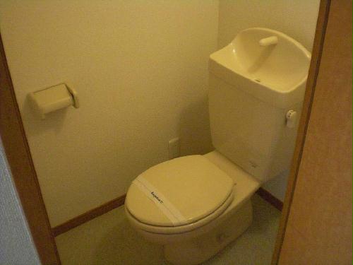 11/16 その他画像