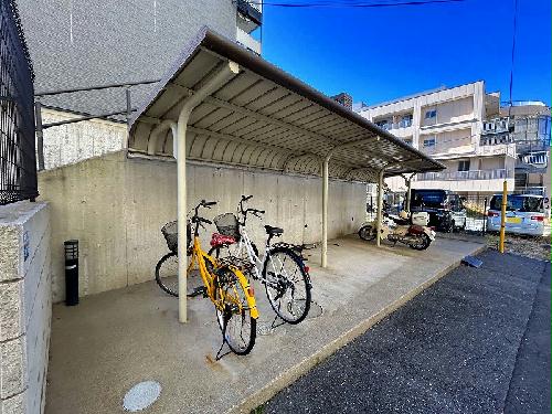 5/11 その他画像