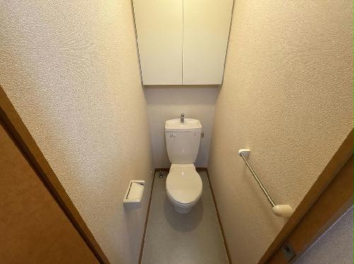 8/14 その他画像