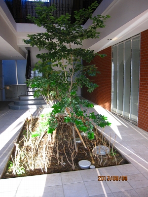 14/30 その他画像