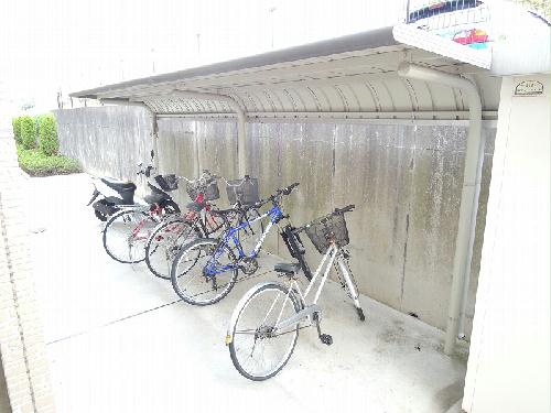 11/12 その他画像