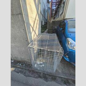 15/25 その他画像