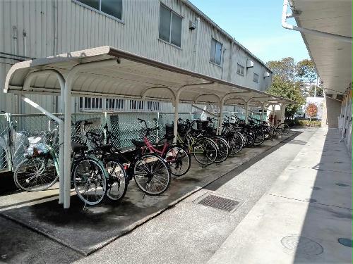 11/14 その他画像