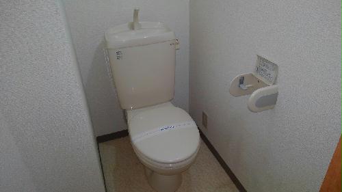 11/14 その他画像