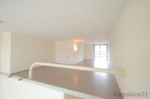 5/15 その他画像