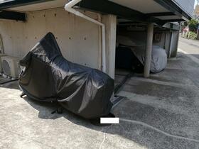 4/16 その他画像