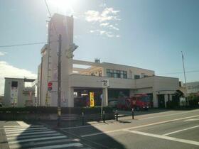 4/17 その他画像