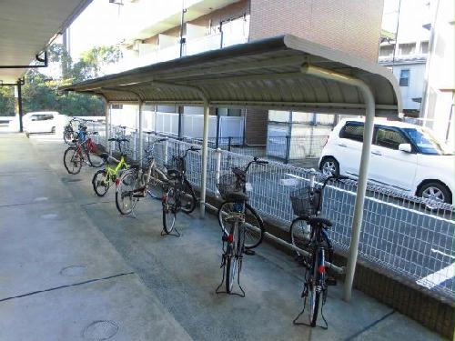 11/14 その他画像