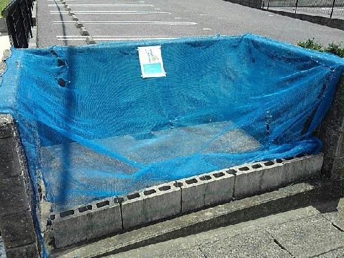 8/14 その他画像