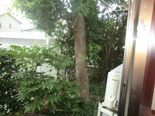 18/29 その他画像