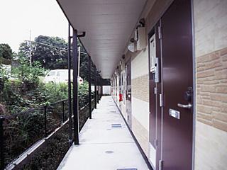 13/13 その他画像