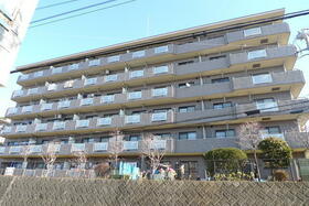 13/13 その他画像