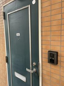 2/11 その他画像