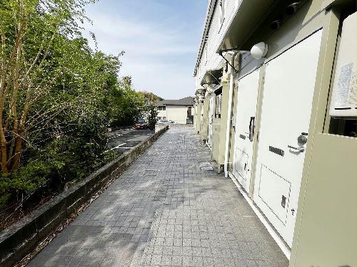 11/14 その他画像