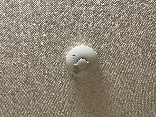 19/28 その他画像