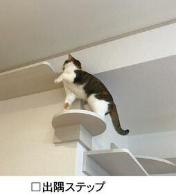 11/16 その他画像