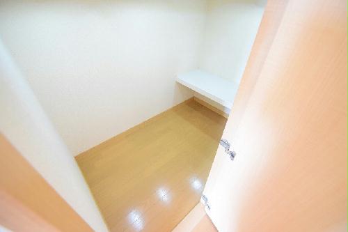 8/16 その他画像