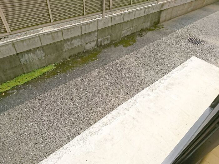 11/19 バルコニー