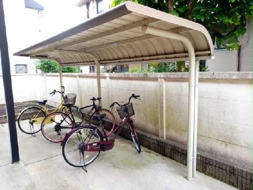 11/14 その他画像