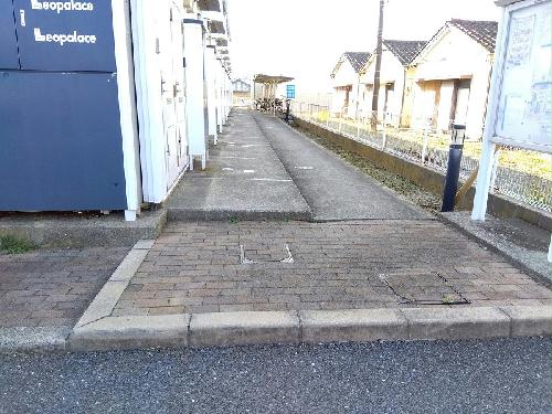 11/15 その他画像