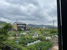 15/16 その他画像