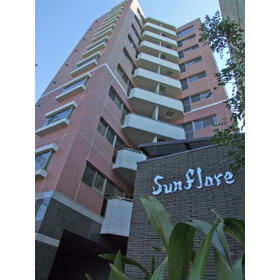 15/19 その他画像