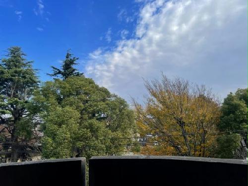 9/14 バルコニー