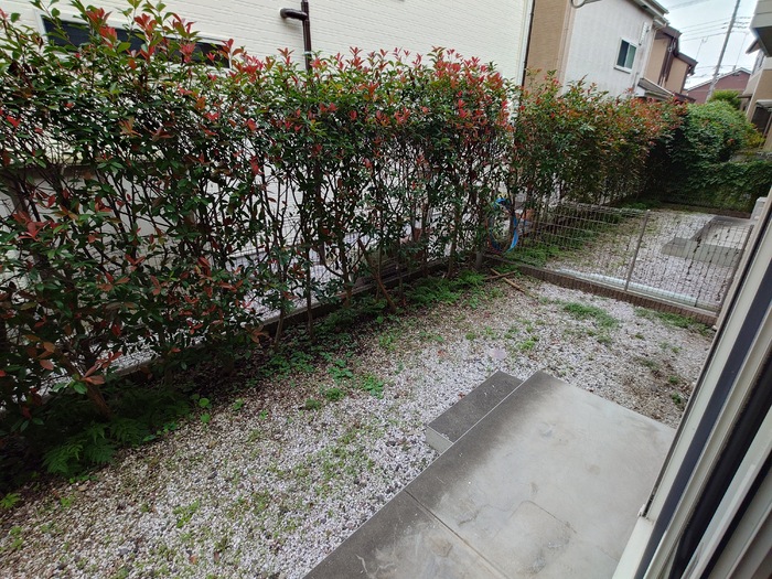 17/17 その他画像