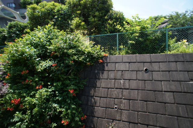 12/24 その他画像